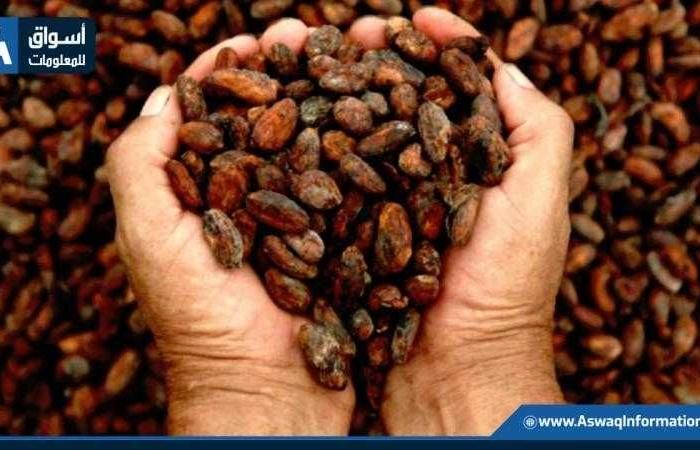 البرازيل
      تسرّع
      وتيرة
      حصاد
      القهوة
      بدعم
      من
      تحسن
      الطقس - غاية السعودية