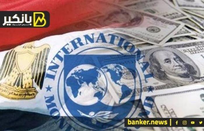 اللغز في الطروحات.. أسرار قرار صندوق النقد ضد مصر