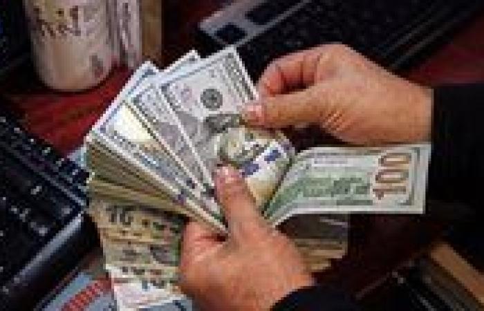 الداخلية تضبط قضايا اتجار في العملات الأجنبية بـ5 ملايين جنيه خلال 24 ساعة