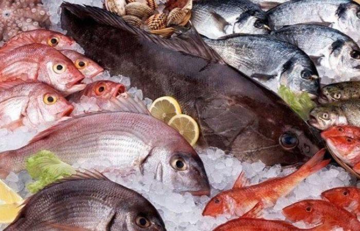 أسعار الأسماك والجمبري اليوم الجمعة 11 يوليو 2025