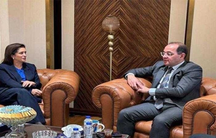 وزير المالية: نتطلع إلى آليات مبتكرة لتمويل النظام الصحي في مصر