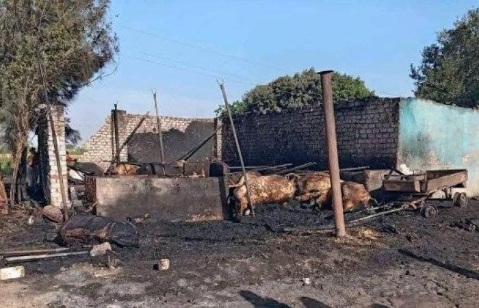 الحماية المدنية تسيطر على حريق حظيرة بالواحات البحرية