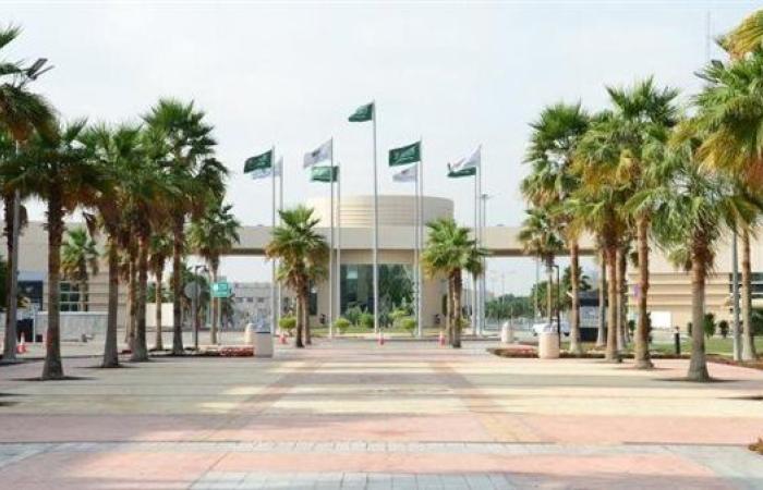 جامعة الإمام عبدالرحمن بـ السعودية تعلن حاجتها إلى أعضاء هيئة التدريس في 33 تخصصا.. التفاصيل كامله