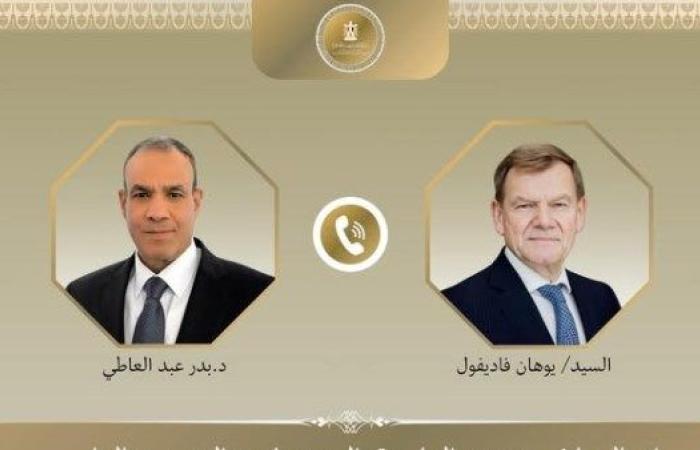 وزير الخارجية يجرى اتصالاً هاتفياً مع وزير خارجية ألمانيا لمناقشة مستجدات الوضع الإقليمي