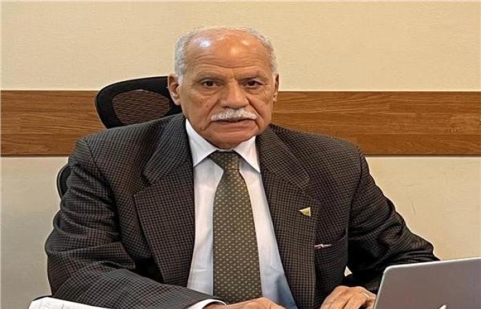 الحزب العربي الناصري: نرفض الدعوات الهدامة.. ومصر صامدة بوعي شعبها وجيشها وشرطتها