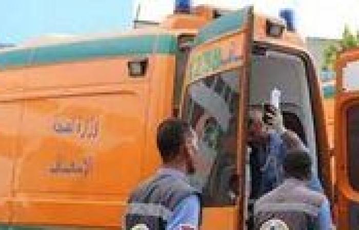 بالأسماء.. إصابة 13 شخصا إثر انقلاب سيارة عمالة زراعية بصحراوى البحيرة