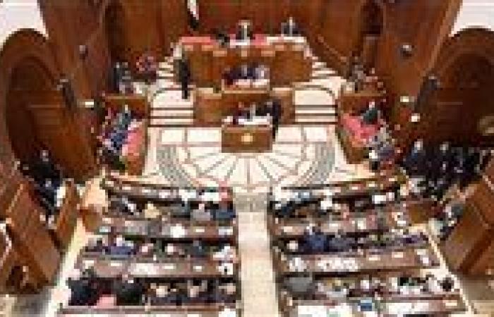 22 مستقل.. تعرف علي عدد مترشحي بالنظام الفردي في انتخابات الشيوخ بالقاهرة