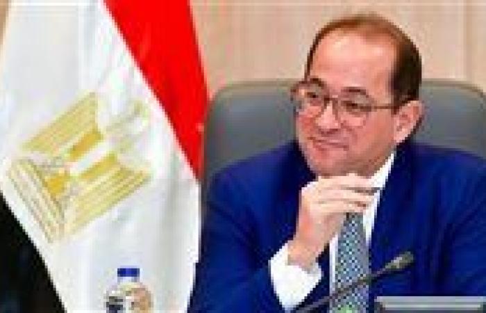 الجريدة الرسمية تنشر التأشيرات العامة للاستخدامات الاستثمارية للهيئات الاقتصادية