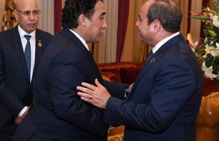 السيسي يبحث حفظ السلم والأمن بأفريقيا مع قادة موريتانيا والجابون وليبيا