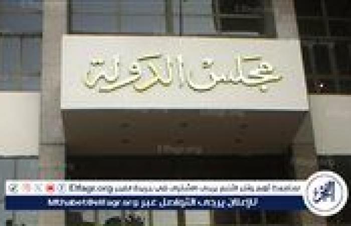 مصدر قضائي: سيتم استبعاد غير المنطبقين للشروط المنصوص عليها قانونا من انتخابات مجلس الشيوخ