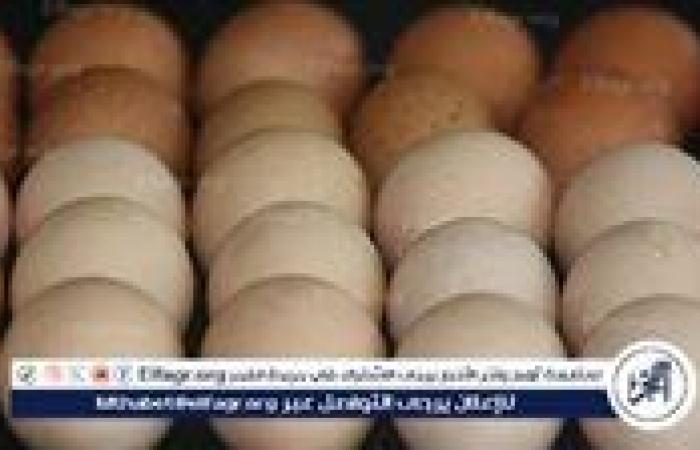 بالبلدي: أسعار
      طبق
      البيض
      اليوم
      الاثنين
      14-7-2025
      في
      قنا