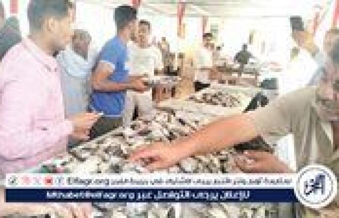 بالبلدي: أسعار
      السمك
      اليوم
      الاثنين
      14-7-2025
      في
      محافظة
      قنا