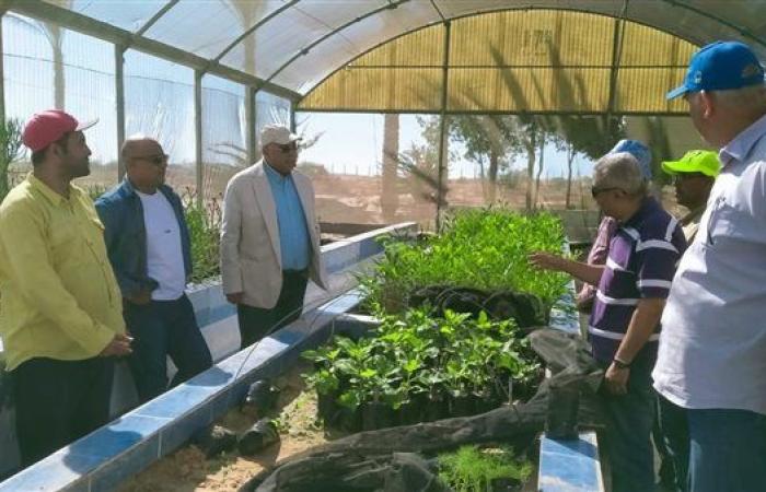 رئيس "بحوث الصحراء" يتفقد محطة شمال سيناء بالشيخ زويد