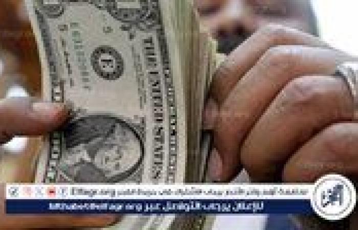 سعر الدولار الآن في مصر.. كم يسجل في البنك المركزي؟