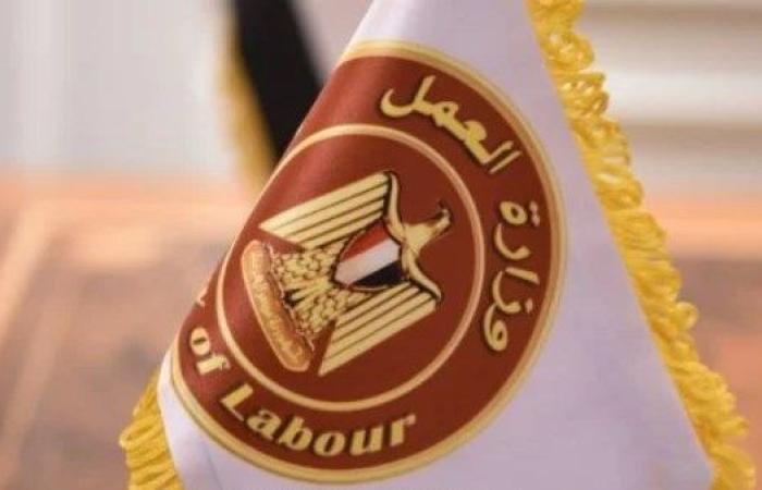 900 دولار شهريا.. وزارة العمل توفر فرص عمل في دولتين بقطاع التشييد والبناء