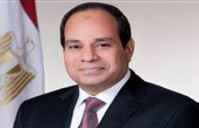 مصر تؤكد ثقتها في قدرة ترامب على وقف الحروب