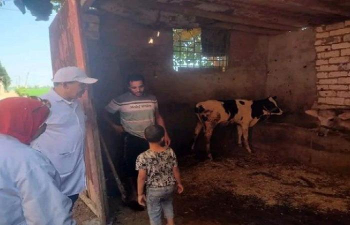 مدير بيطري الشرقية يتفقد أعمال التحصين ضد الحمى القلاعية بقرية الفدادنة