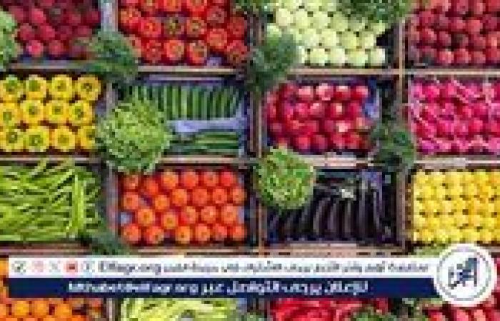 أسعار الخضروات اليوم الثلاثاء 15-7-2025 في قنا