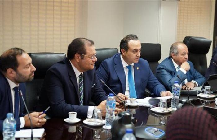السبكي: الصحة ركيزة أساسية في بناء "مصر ما بعد 2025"