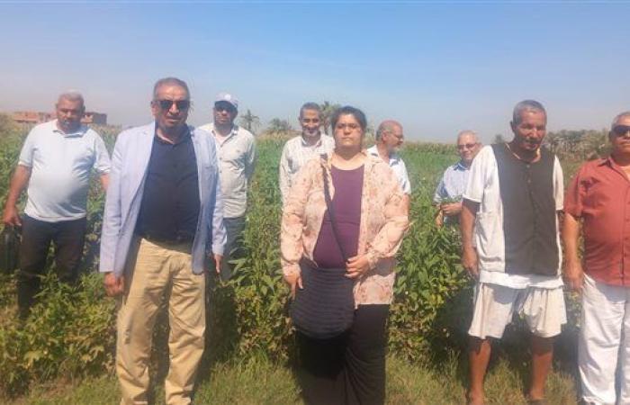 "الزراعة" تنظم 470 ندوة إرشادية وتدريبية لدعم المزارعين بجميع المحافظات