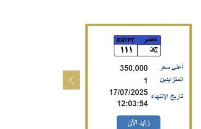 سعرها وصل 350 ألف جنيه.. خطوات التزايد على لوحة سيارة مميزة