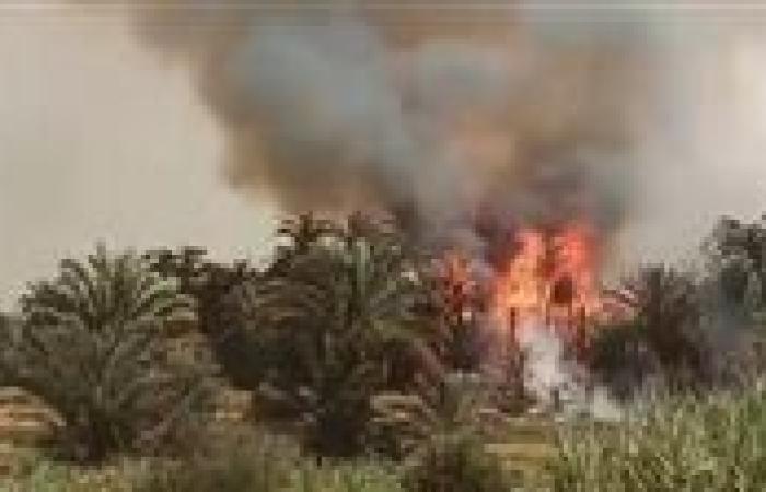 بالبلدي: الدفع
      ب
      4
      سيارات
      إطفاء
      للسيطرة
      على
      حريق
      اندلع
      في
      نخيل
      بالخانكة