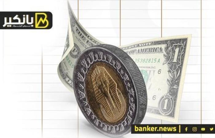 من نقص حاد لوفرة غير مسبوقة في البنوك.. إزاي مصر قلبت المعادلة في أزمة شح الدولار؟