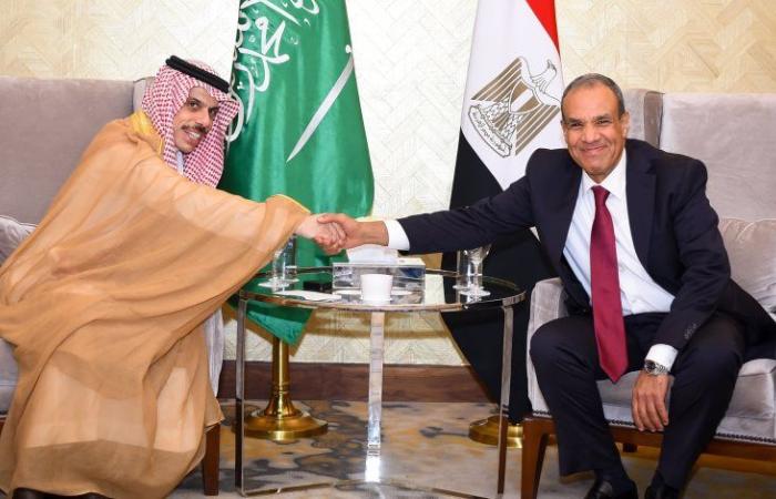 وزير الخارجية خلال لقائه بنظيره السعودي: نرفض أي محاولات يائسة للمساس بالعلاقات التاريخية المصرية - السعودية