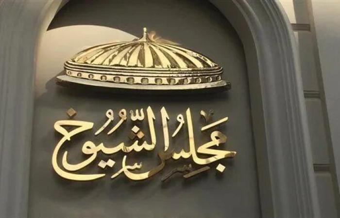 اليوم.. الوطنية للانتخابات تعلن القائمة النهائية لمرشحي الشيوخ وبدء الدعاية الانتخابية