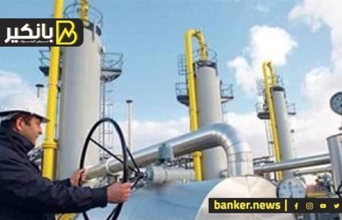 تحويل الصحراء لمنابع الذهب.. خطة الحكومة لتأمين ...