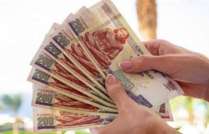 خبير اقتصادي: زيادة المرتبات والمعاشات تعكس استجابة الدولة للضغوط المعيشية