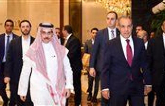 وزير الخارجية:نرفض أي محاولات يائسة للمساس بالعلاقات التاريخية المصرية السعودية