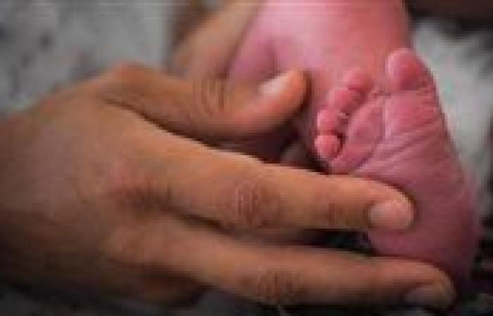 العثور على رضيعة ملقاة بأحد شوارع الإسكندرية