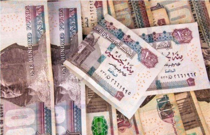 %24 فأعلى.. سعر الفائدة على القرض الشخصي للموظفين في 7 بنوك مصرية