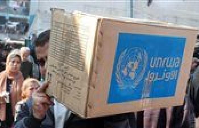 الأونروا: 100% من سكان غزة جائعون حتى الأطباء والعاملين لدينا لا يجدون الطعام