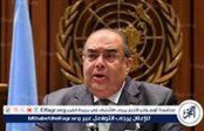 محمود محيي الدين : هناك تراجع في حجم الاستثمارات الاجنبية المباشرة بالبلدان النامية