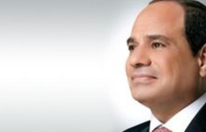 النائب اسماعيل نصر الدين: مصر تتحرك بدافع أخلاقي وقومي لدعم غزة وتواجه محاولات التشويه بثبات