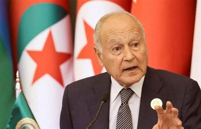 أبوالغيط يشارك في المؤتمر الدولي للتسوية السلمية للقضية الفلسطينية وتنفيذ حل الدولتين بنيويورك