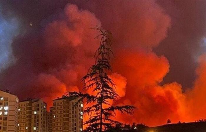 حرائق الغابات تهدد مناطق سكنية في محافظة بورصة التركية
