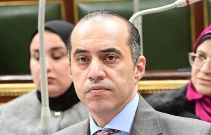 محمود فوزي: إعادة الرئيس لقانون الإجراءات الجنائية ممارسة ديمقراطية وميل للحريات