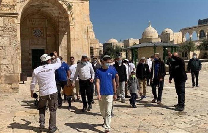 الأوقاف الإسلامية بالقدس: 300 مستوطن اقتحموا باحات المسجد الأقصى منذ الصباح