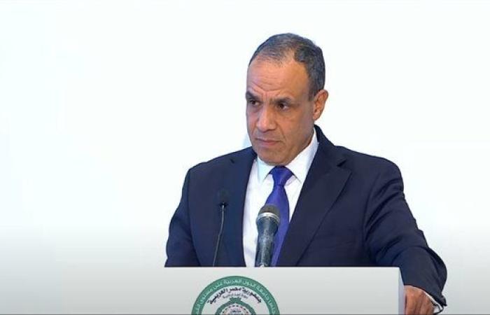 وزير الخارجية: يجب التحرك الجماعي للدفاع عن مبادئ القانون الدولي التي تقوضها إسرائيل