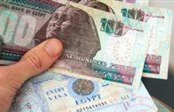 عاجل| توقعات بقفزة غير مسبوقة في تحويلات المصريين بالخارج العام المقبل